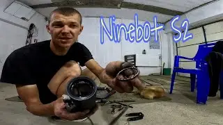Я его сломал! Пёс помогает чинить самокат Ninebot S2.