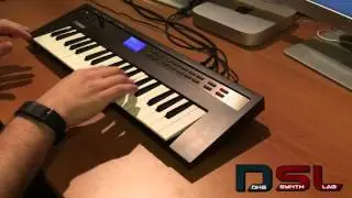 Yamaha Reface DX [PERFORMANCE] | No Talking |