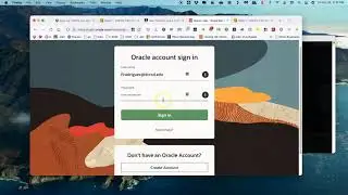 Install Java in macOS Big Sur