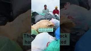 No Fish – Big Story: Submerged in Plastic 