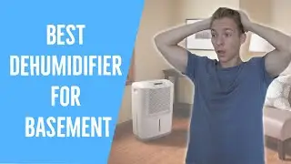 Best Dehumidifier for Basement Use (Top 4 Dehumidifiers!)