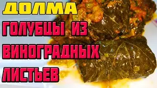 DOLMA is delicious. How to wrap dolma with a bag. Harvesting grape leaves.