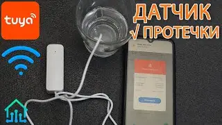 OVERVIEW WiFi EMASTIFF WATER LEAK SENSOR FOR TUYA SMART HOME SYSTEM