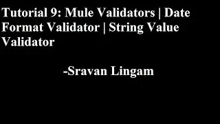 Tutorial 9: Mule  Validators  | Date Format Validator | String Value Validator