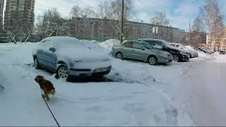 Зимняя красота, циклон ОЛЬГА