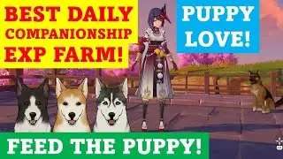 Best Daily Companionship Exp Farming! Puppy Love! (Updated) | Genshin Impact