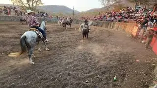 Fiestas Comala 2024