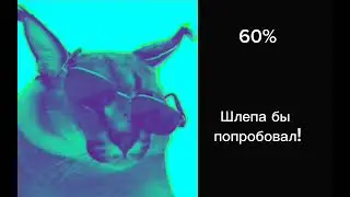 Насколько твои пельмени состоят из мяса: #шлепа #пельмени #реки #активвернись