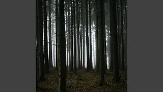 You Are the Placebo
