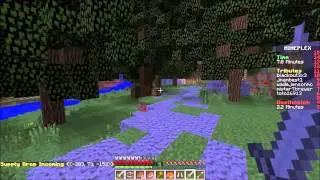 The Minecraft Hunger Games Dream Team