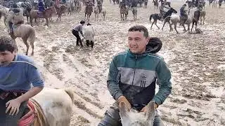TO'RTKO'L KO'PKARISI