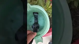 Samsung watch 4 Water Testing 💦💦😍😍