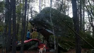 Fontainebleau - Coquibus Auvergne - Coralie dans Roc à Dos (7C)
