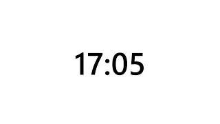 Timer for 17 minutes and 5 seconds
