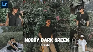 Moody Dark Green - Lightroom Mobile Preset Free DNG| Moody Dark Green | Moody Dark
