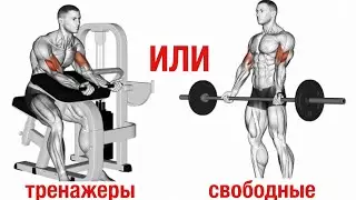 Свободные веса или тренажеры. Что лучше для проработки мышц.