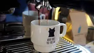 I started making espresso drinks.