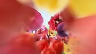 С праздником весны от Мартина