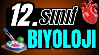 BİTKİ BİYOLOJİSİ//   YAPRAK YAPISI  