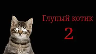 Глупый котик часть 2 @cooldadru