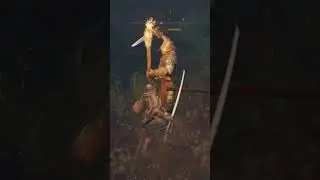Осторожно придурок с катаной #game #videogames #gaming #eldenring