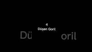 En iyi 5 goril