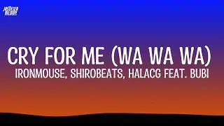Cry For Me (WA WA WA) (feat. Bubi) - IRONMOUSE (Lyrics)