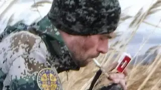 Подготовка