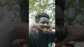 KLY Money Chop Music Video on the channel