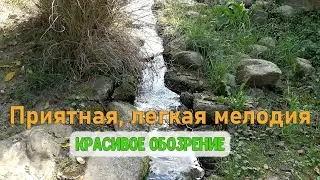 Приятная, легкая мелодия | Красивое обозрение