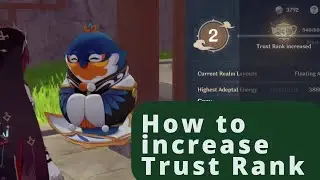 Fast increase Trust Rank || Genshin Impact 