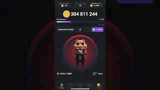 13-14   ИЮНЯ | Новый шифр в HAMSTERCOMBAT #hamsterkombat #комбодня #crypto