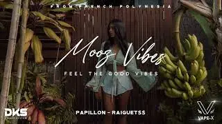 PAPILLON - (Raiguetss Remix) 2023