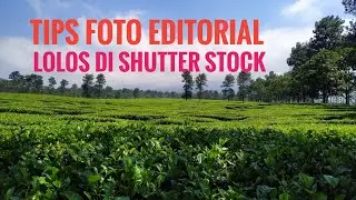 Tips Foto Editorial Lolos di Shutter Stock Contributor