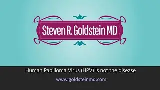 Dr Steven R. Goldstein MD, Gynecologist in NYC for HPV