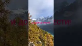 9 ноября 2023 г.