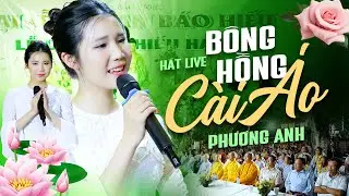 Bông Hồng Cài Áo - Phương Anh | Bài Hát Ý Nghĩa Mùa Vu Lan Báo Hiếu