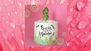 MATERAS MINIATURA DECORADAS PARA TUS SUCULENTAS