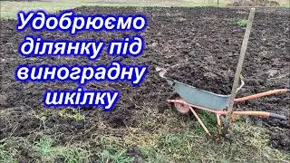 Удобрюємо ділянку під виноградну шкілку 2023