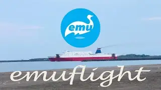🚢Flew my FPV Drone on chill time beach | Emuflight