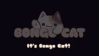 Bongo Cat Streamlabs OBS App