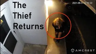 The Package Thief Strikes Again