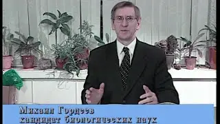 Травяной сбор применяемый при гипертиреоз