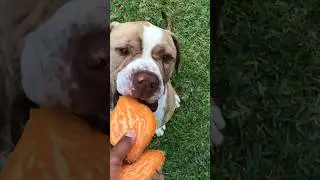 Yummy Sweet Potato Snack 🍠🤤