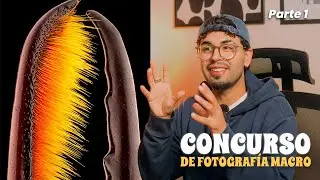 Así se ve el mundo que no puedes ver 🔬