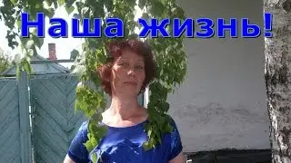 Наша жизнь!