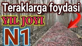 Chuvalchang boqish uchun yil joyi N1. Bu biznesga ishonmaganlar koʻringlar qidirib qolasiz.