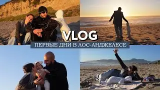 VLOG // Уехали на зимовку // Новый этап жизни // Я взрослею, Монте - тоже! // Свидание у океана