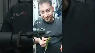streamer bagladim turna avında kullanmak için. (KULLANDIM)