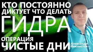 Кто Заставляет Есть? Гидра. Операция 